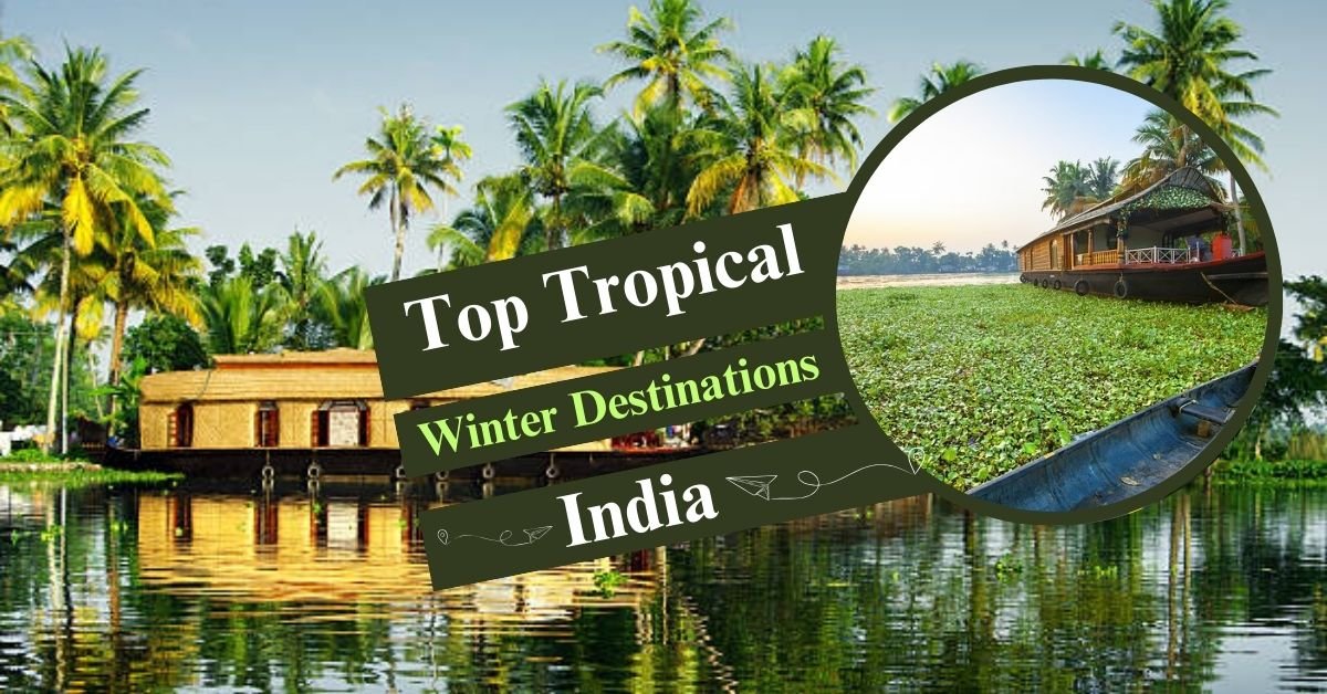 Indiaβs Tropical Beaches: The Best Place to Visit in Winter